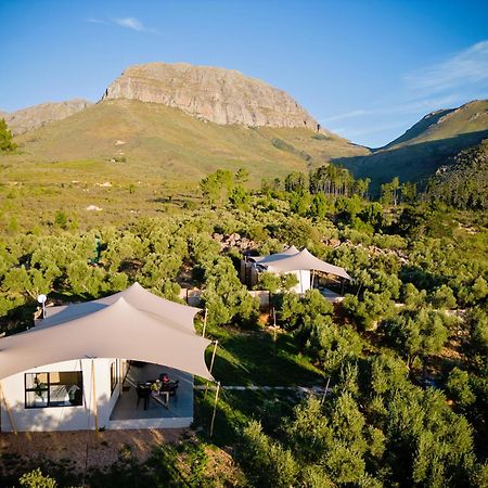 Wagyu Mountain Lodge Paarl Exteriör bild