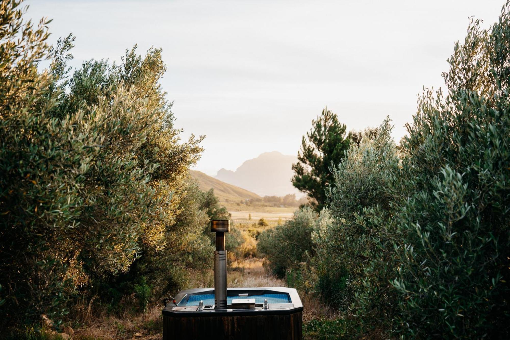 Wagyu Mountain Lodge Paarl Exteriör bild