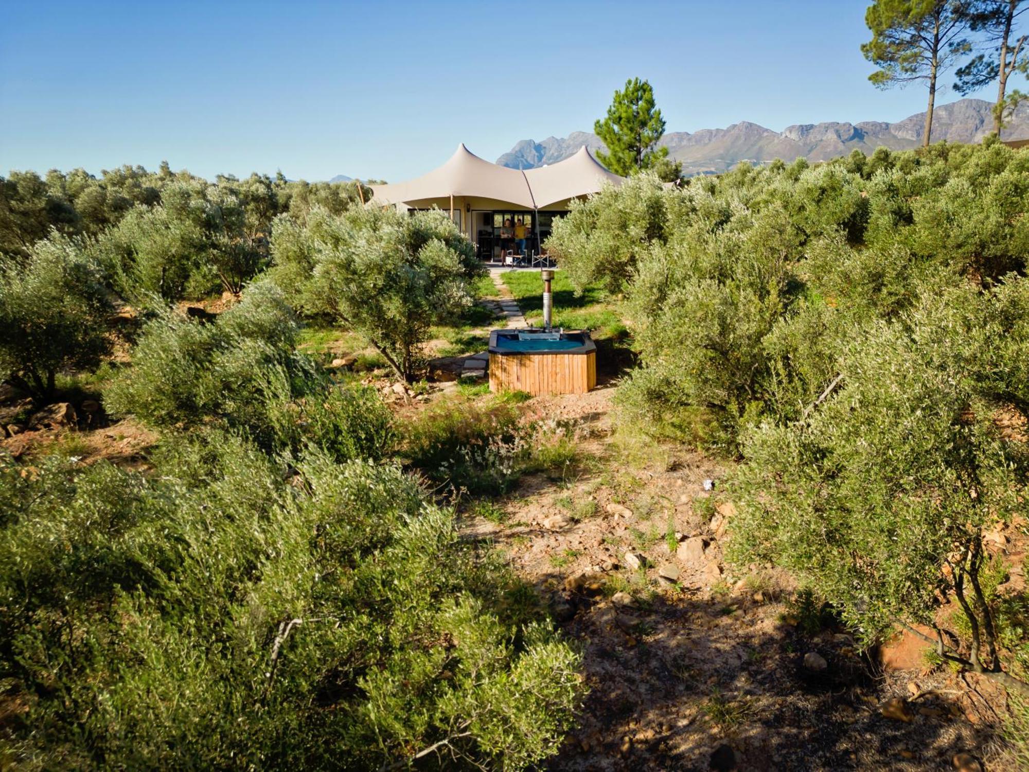 Wagyu Mountain Lodge Paarl Exteriör bild