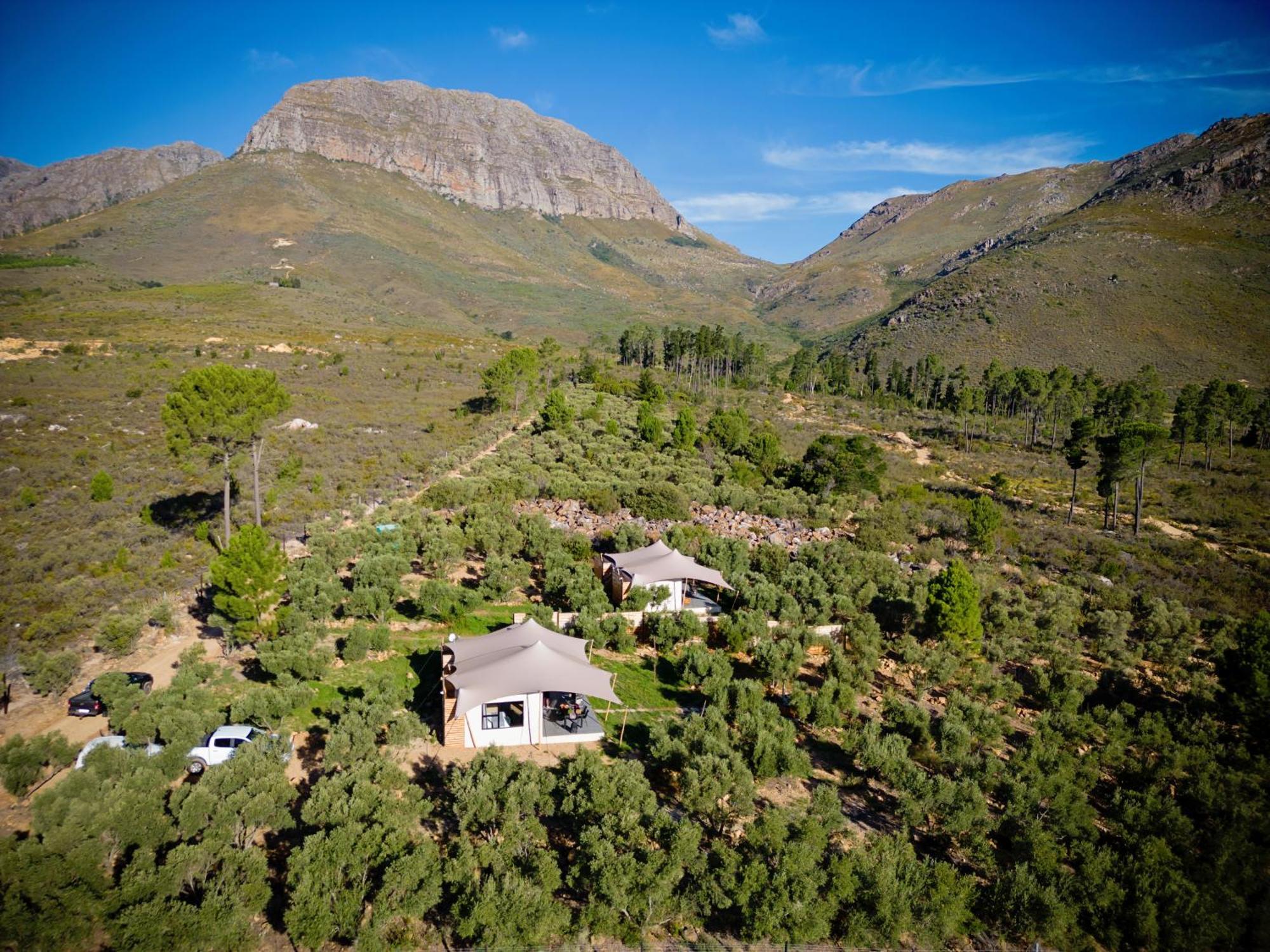 Wagyu Mountain Lodge Paarl Exteriör bild