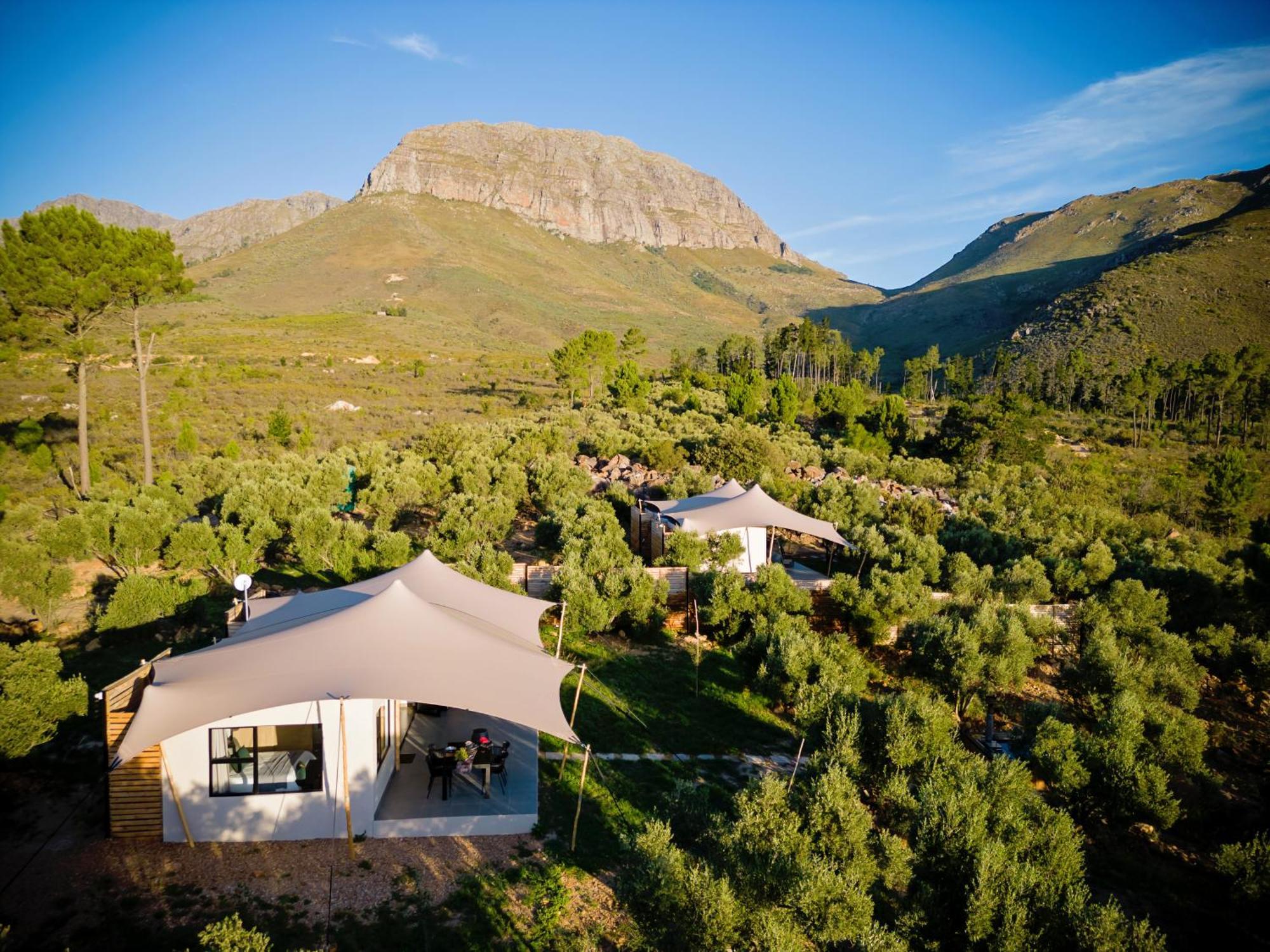 Wagyu Mountain Lodge Paarl Exteriör bild