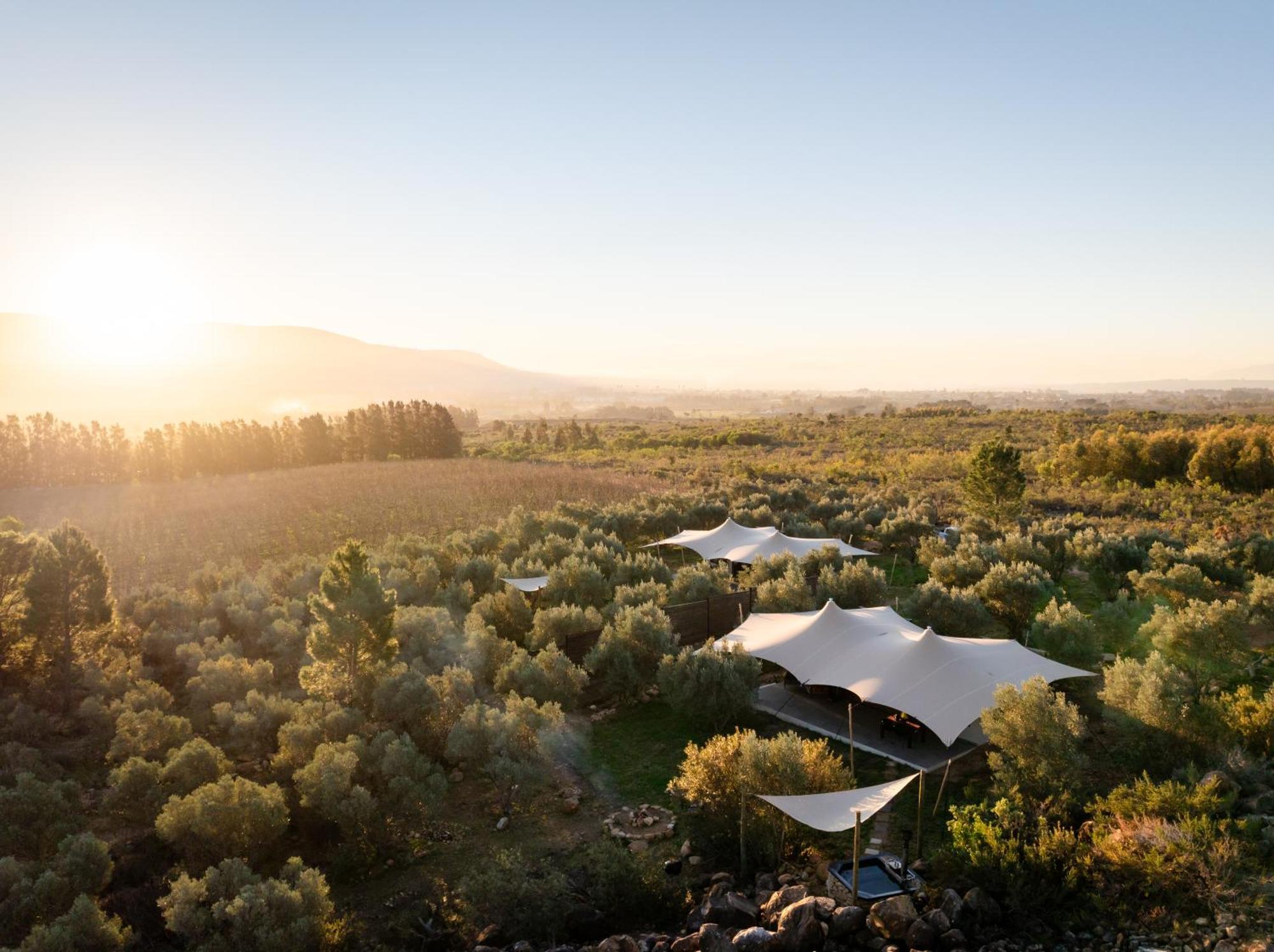 Wagyu Mountain Lodge Paarl Exteriör bild